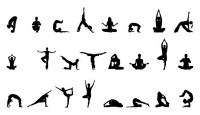 Các tư thế yoga