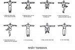 Nhảy Tandava